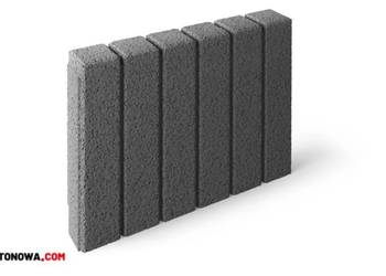 Palisada Forta