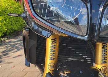Yamaha Fazer Fz1 Quickshifter, Zadbana