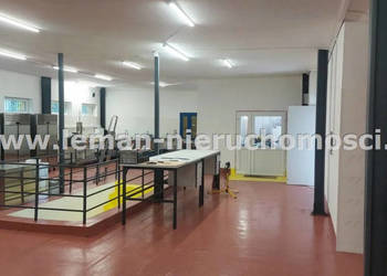 Lokal Lublin 205m2