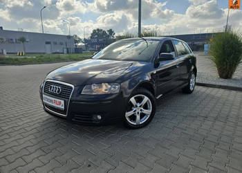 Audi A3 2.0 140 KM Klimatronik, Elektryka, Zadbany 8P (2003-2012)