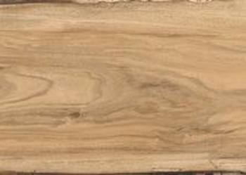 Gres SHERWOOD OAK 7,5×45