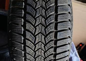 Opony zimowe Dębica frigo 2