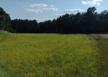 Działka z wydanymi warunkami zabudowy o pow. 0,65 ha.