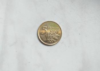 5 gr groszy 1993 - rzadka moneta