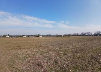 Nasutów Aleja Lipowa 2ha