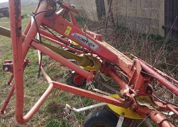 pottinger n 69