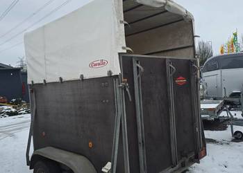 Boeckmann do koni przyczepa