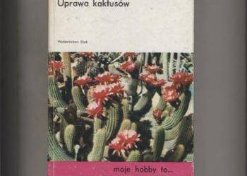 Uprawa kaktusów
