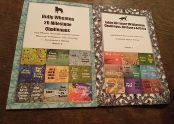 Bully wheaten 20 miles tone challenges & labbe retiever. Po angielsku!