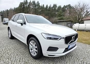 VOLVO XC60 MOMENTUM SalonPL 1WŁ. 2019 XI 2.0 T4 190KM 180411KM SERWIS FV23%