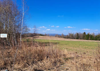 Działka na sprzedaż 5974m2 Łagów