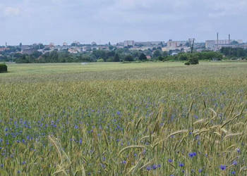 Działka budowlana z pięknym widokiem