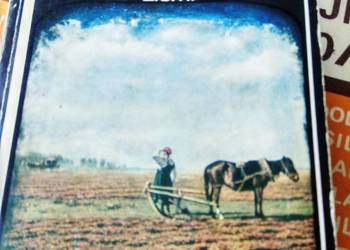 Hamsun Błogosławieństwo ziemi