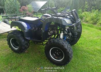 Quad 250 automat 1/1
