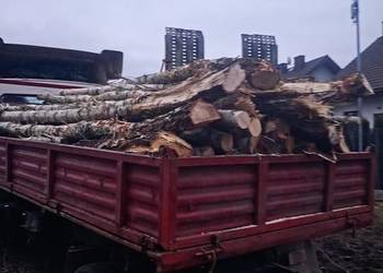 drewno brzoza opałowa dowóz