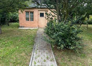 Odstąpię zadbaną działkę na ROD Aronia / Świdnica