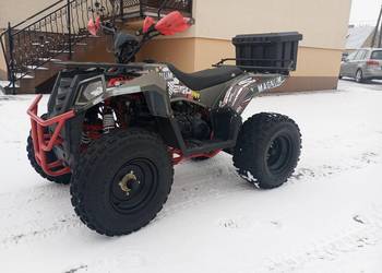 Quad Apollo magnum 250