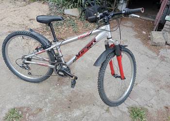 Rower Viper 24 / możliwa dostawa