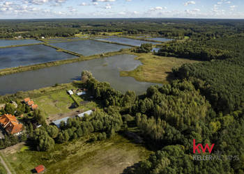 Działka Trzciel-Odbudowa 6632m2