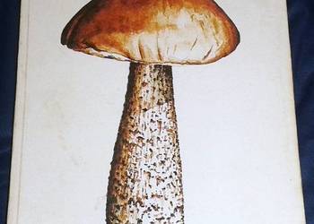 Grzyby leśne - Andrzej Grzywacz, J.Carlos Nieto
