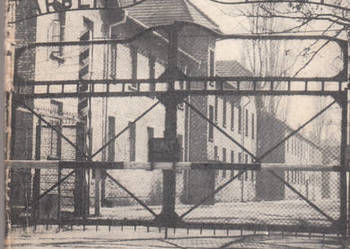 (02632) OŚWIĘCIM 1940 – 1945 (PRZEWODNIK PO MUZEUM)  – KAZIM