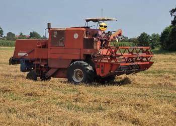 Sprzedam Bizon super Z056
