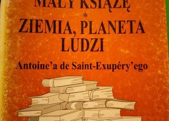 Mały książę Ziemia planeta ludzi analizy literatury lektury