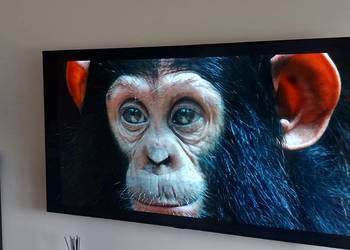 Telewizor LG smart  OLED65B8PLA