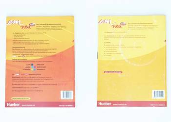 em neu 2008 Hauptkurs - Perlman-Balme, Schwalb