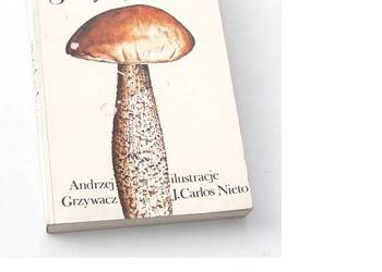 Grzyby leśne Andrzej Grzywacz atlas