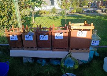 Balony, różne pojemności