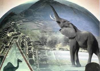 Poradnik Obieżyświata - R. Mielcarek.