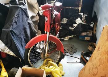 Ryś 1960r.