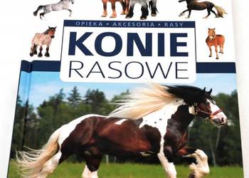 Konie rasowe Justyna Felgenau