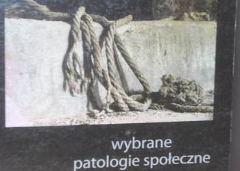 WYBRANE PATOLOGIE SPOŁECZNE - WICIAK BARANOWSKA WYBRANE PATOLOGIE SPOŁECZNE - WICIAK BARANOWSKA
