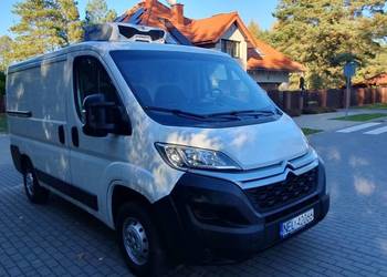 Citroen Jumper chłodnia bardzo dobry stan
