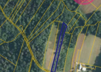 Działka rolo-leśna w Łużnej w cenie 39 tyś zł