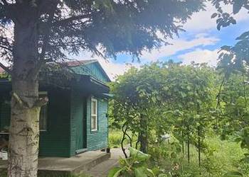 Zielona Działka ROD - Ariadna - Dąbrowskiego,  Łódź