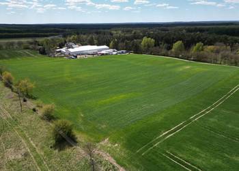 Działka z WZ przy lesie Rogoziniec 66-210 | inwestycyjna / budowa 7 913 m²