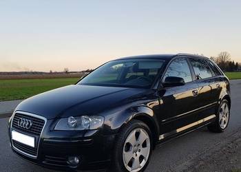 Audi A3 8P Sportback 1.9TDI 105KM