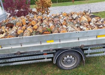 Dąb, brzoza, opał, drewno, drzewo Dąb, brzoza, opał, drewno, drzewo