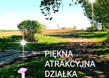 Las Cisza Przyroda Dwa Domy Posesja dla Konesera