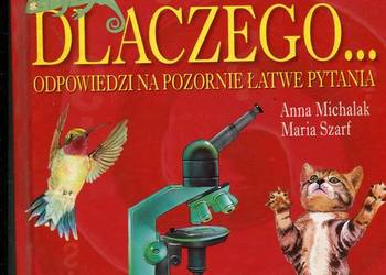 Dlaczego Odpowiedzi na pozornie łatwe pytania - Michalak