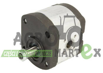 3145248R93, G231941010010, 3145248R91, 31315R92, 3057395R92 POMPA HYDR CNH