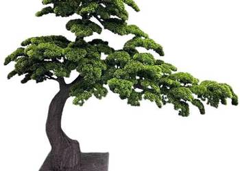 Sztuczne drzewko Bonsai Premium 165x90x200
