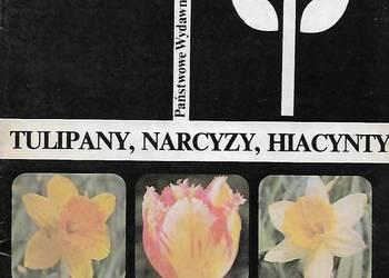 Tulipany, narcyzy, hiacynty - J. Krause