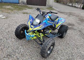 gas gas wild swap z650 yamaha raptor Yfz can am