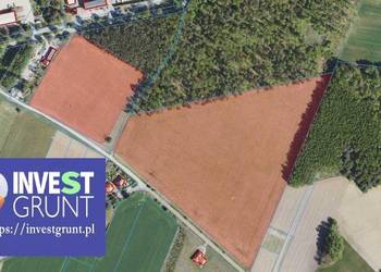 [13,09 ha] przetarg na dzierżawę gruntów rolnych