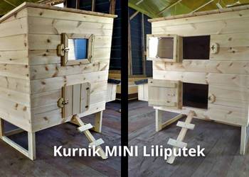 Mini Kurnik Liliputek domek dla kur domek dla ptaków Mini mały kurnik