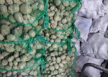 Ziemniaki dla zwierząt drobne 40gr